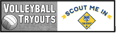 Scouts and Volleyball